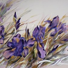 Схема вышивки «Ирисы»