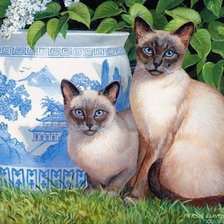 Схема вышивки «Сиамские»