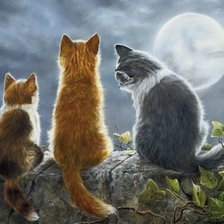 Схема вышивки «Магия луны»