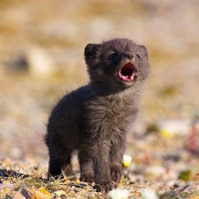 Схема вышивки «зов предков»