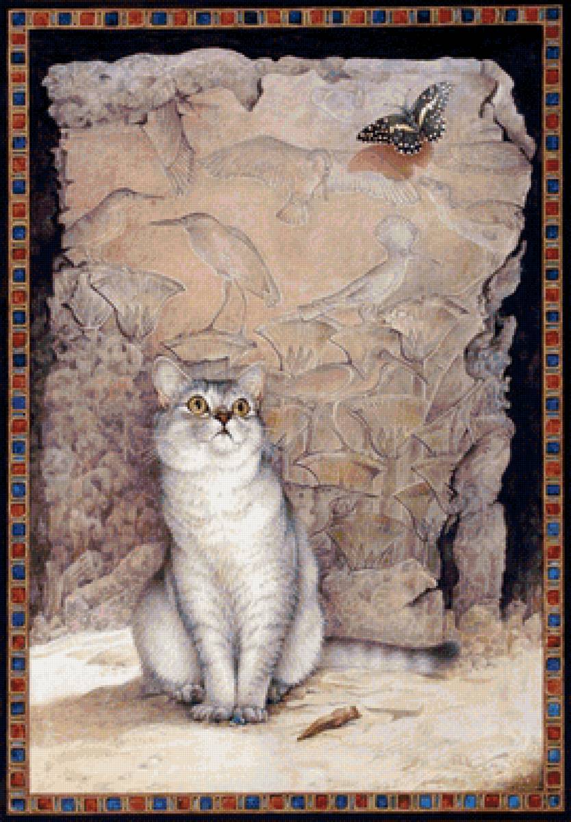 Котик и бабочка - котик, животные, бабочка - предпросмотр