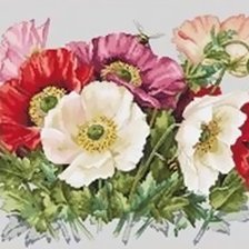 Схема вышивки «МАКИ»