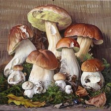 Схема вышивки «Белые грибы»