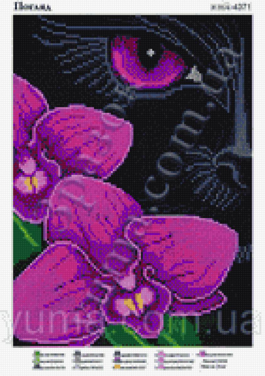 Пума, орхидея, - пума, взгляд, орхидея - предпросмотр