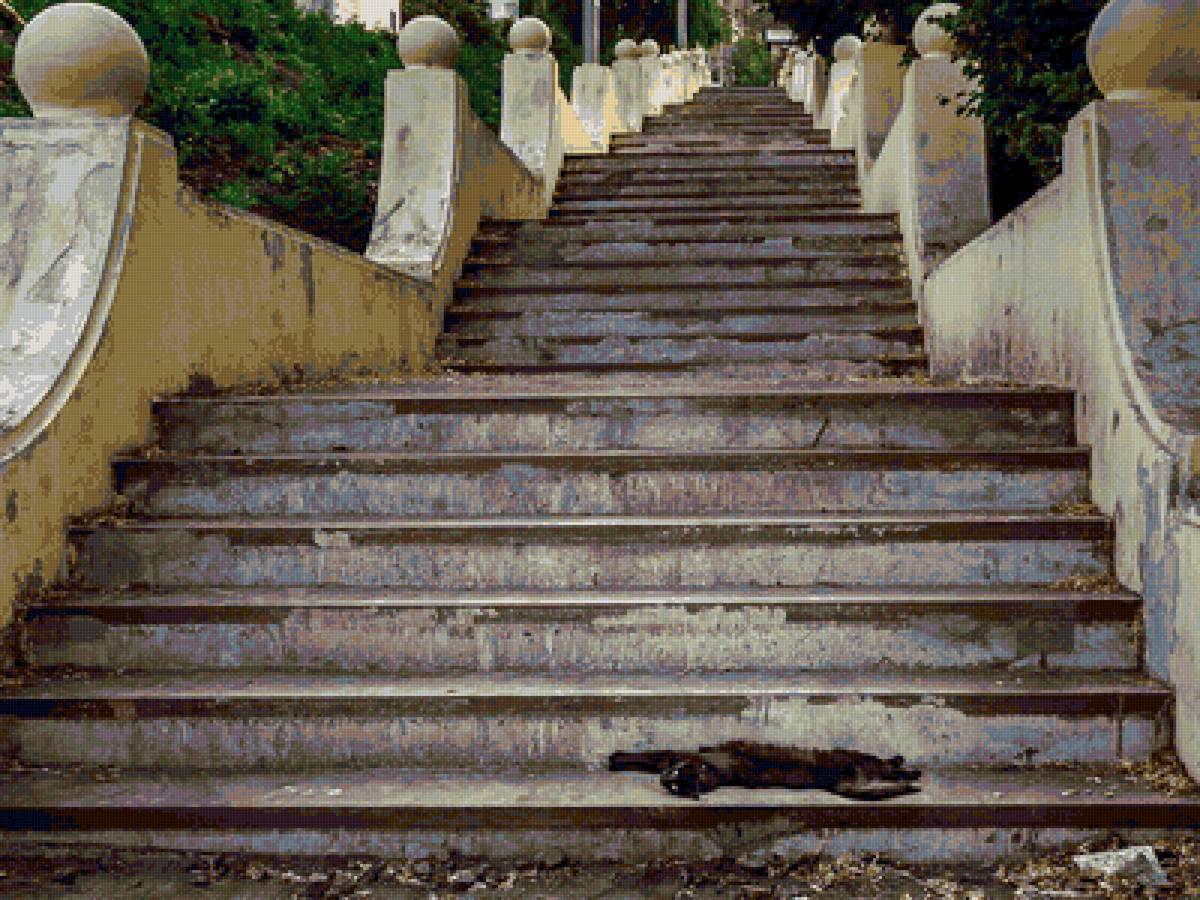 А вы верите в приметы? - приметы, лестница, черная кошка - предпросмотр