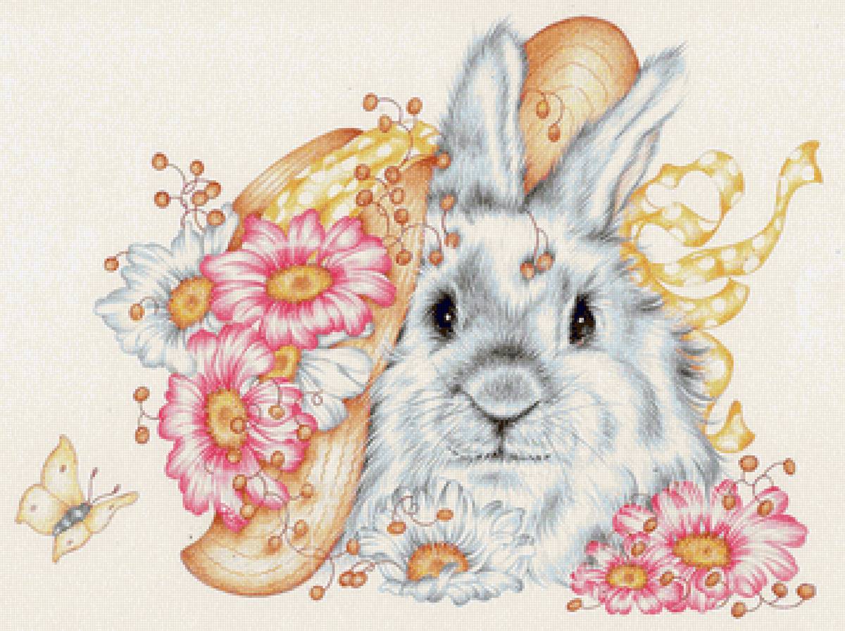 №2244371 - кролик - предпросмотр