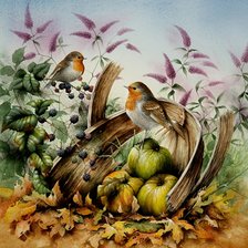 Схема вышивки «calabaza»