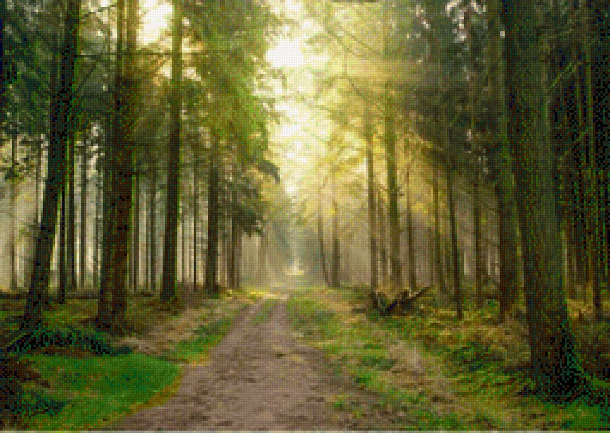 Bosque encantado - предпросмотр