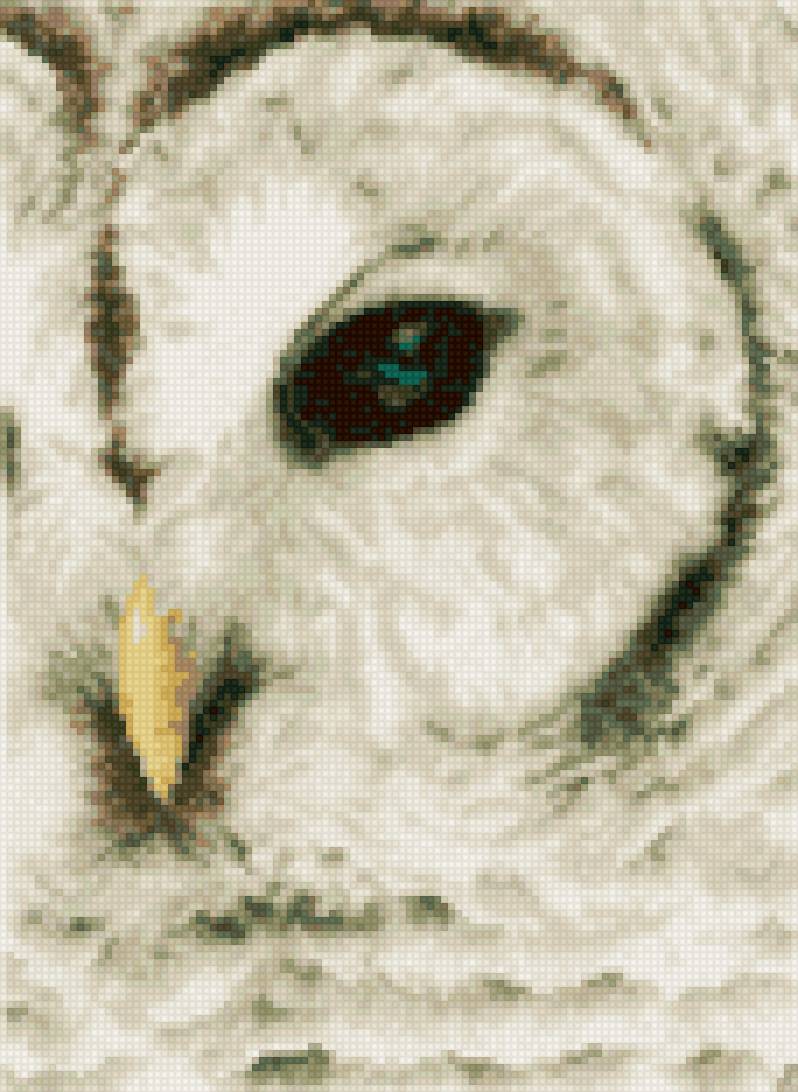 snow owl - сова, snow, owl - предпросмотр