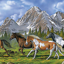 Схема вышивки «Лошади»