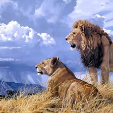 Lions