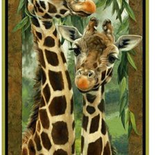 Схема вышивки «№2244946»