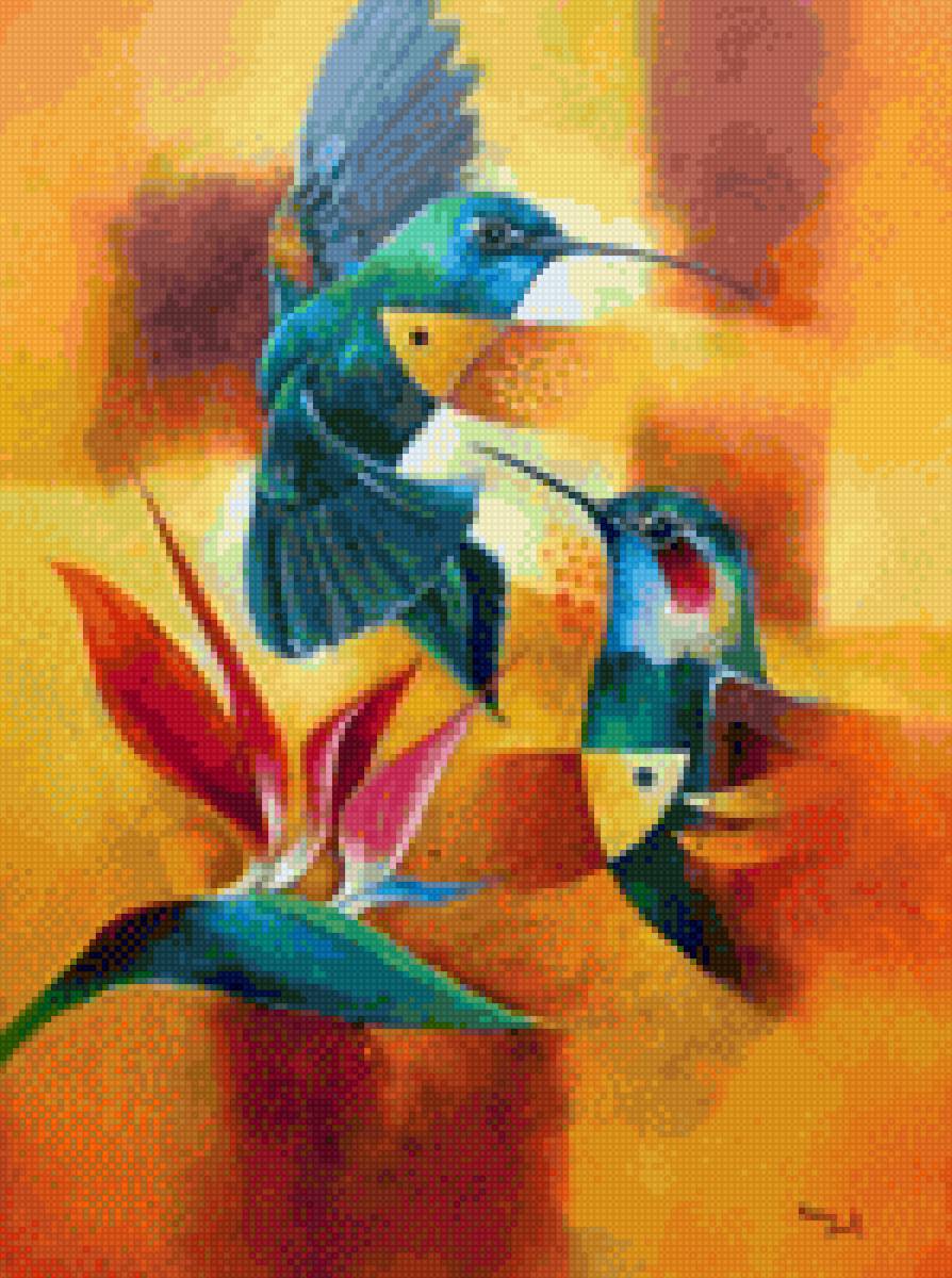 colibri - aves - предпросмотр