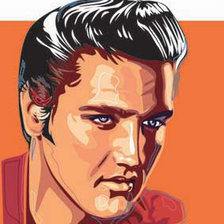 Схема вышивки «elvis»