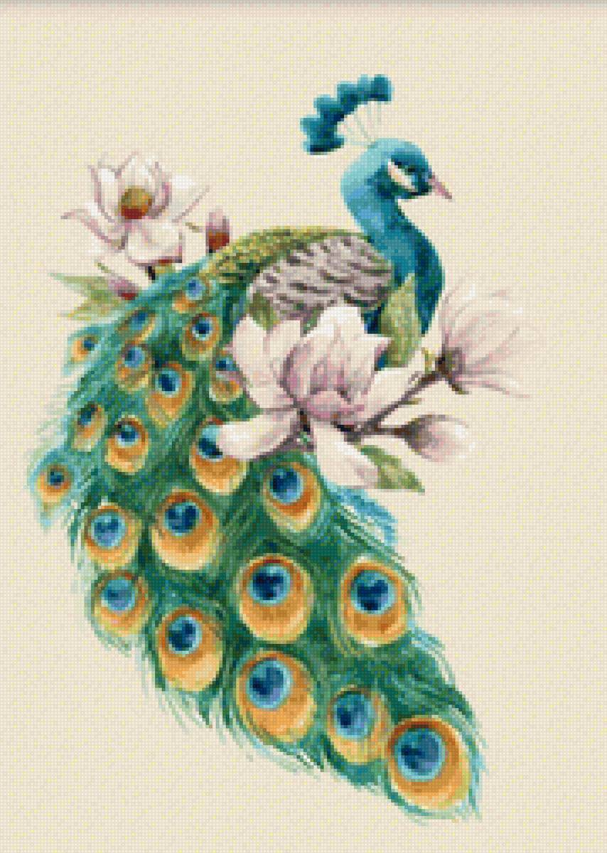 Павлин - павлин, птицы, магнолия - предпросмотр