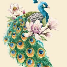 Схема вышивки «Павлин»
