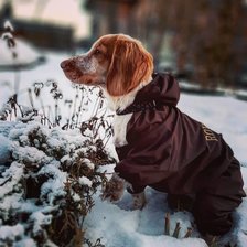 Схема вышивки «Мира»