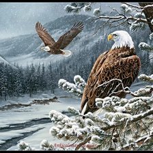 Схема вышивки «Орлы»