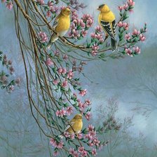 Схема вышивки «madarak»