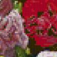 Предпросмотр схемы вышивки «натюрморт» (№2246317)