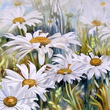 Схема вышивки «Daisies»
