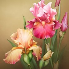 Схема вышивки «flores»