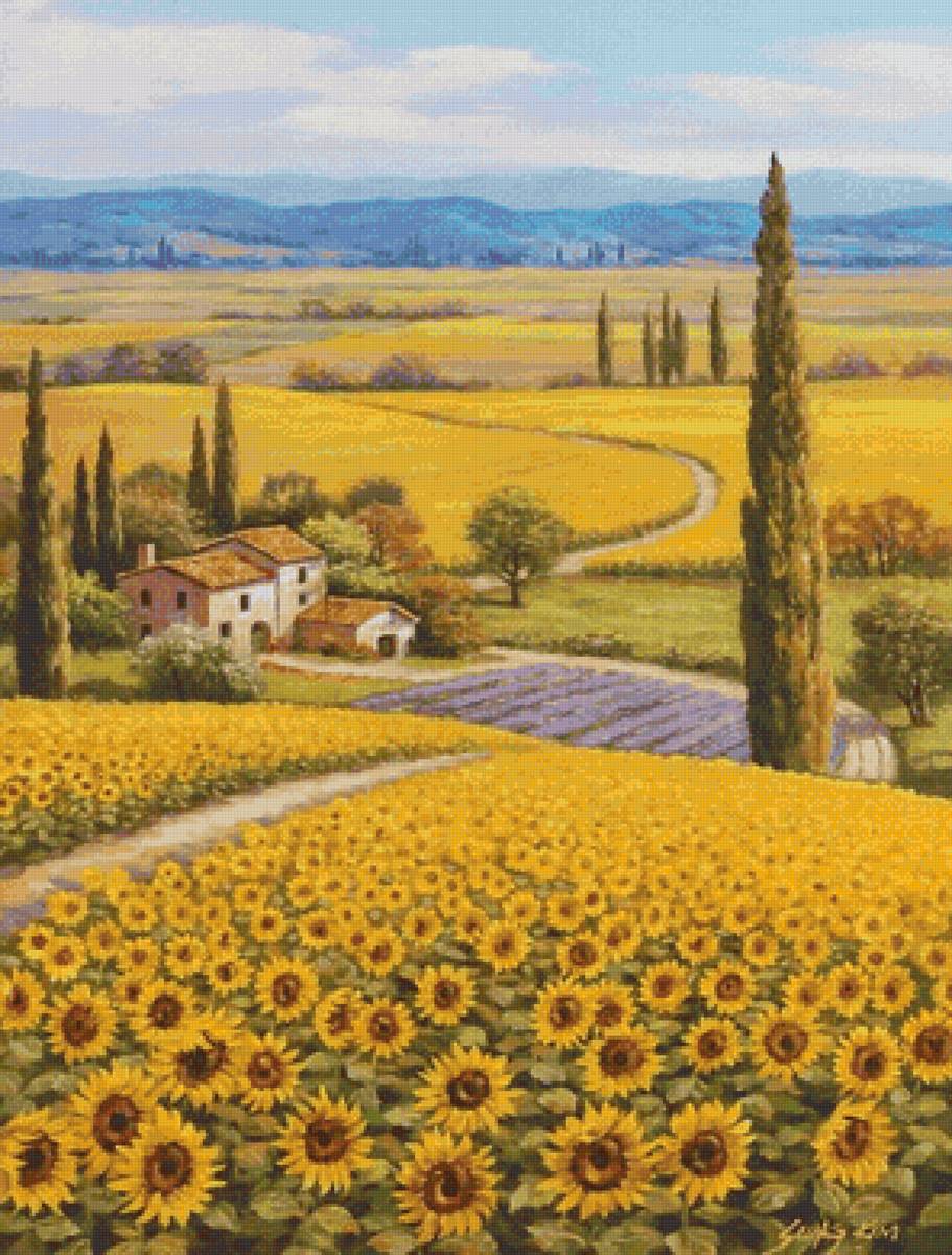 Поле подсолнухов - подсолнухи, природа, лето, поле, деревня, домик - предпросмотр