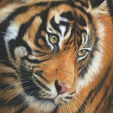 Схема вышивки «№2247908»