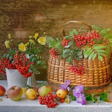 Схема вышивки «натюрморт»