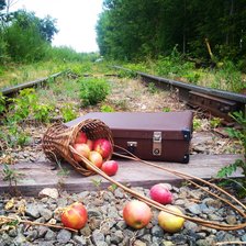 Схема вышивки «яблоки»