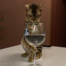 Схема вышивки «Фрея»