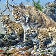 Схема вышивки «дикие»