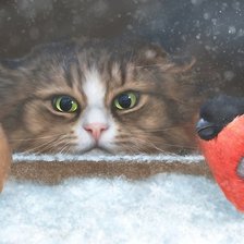 Схема вышивки «наблюдатель»