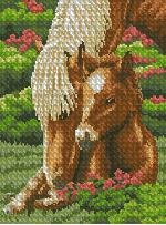 Схема вышивки «Маки»