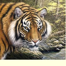 Схема вышивки «№2249111»