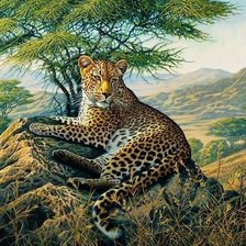 Схема вышивки «дикие»