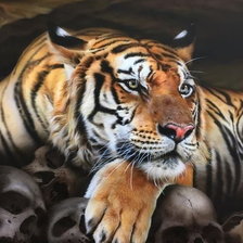 Схема вышивки «Тигр»