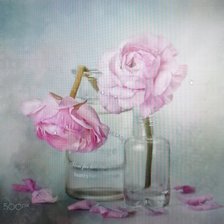 Схема вышивки «mari mar»