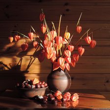 Схема вышивки «физалис»