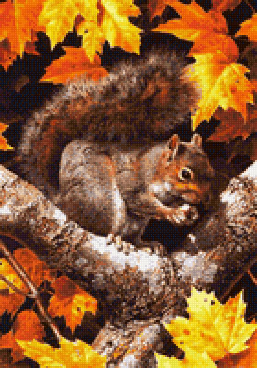 Белка - осень, белка - предпросмотр