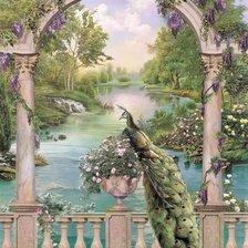 Схема вышивки «Peacock»