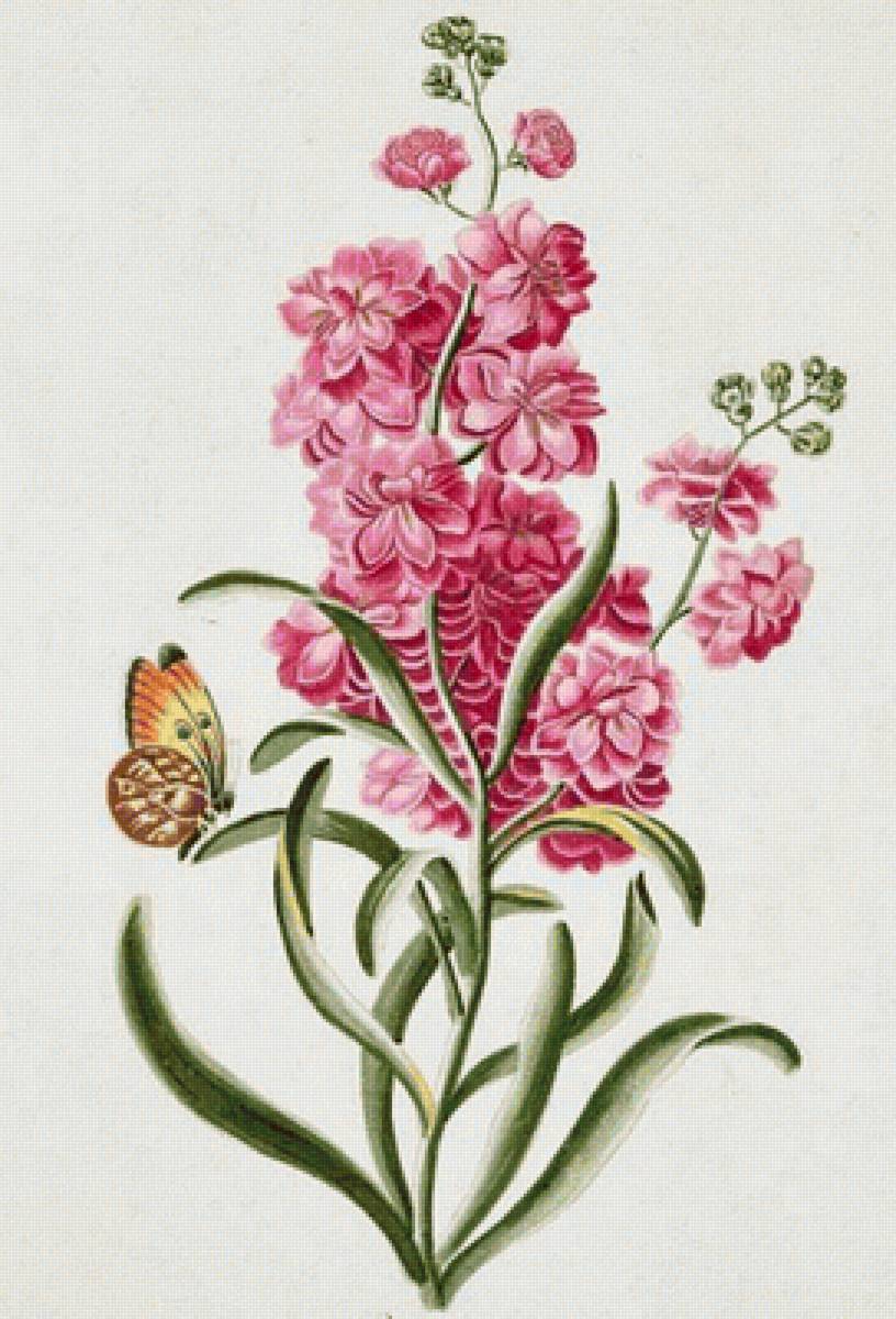 Flores rosadas - naturaleza - предпросмотр