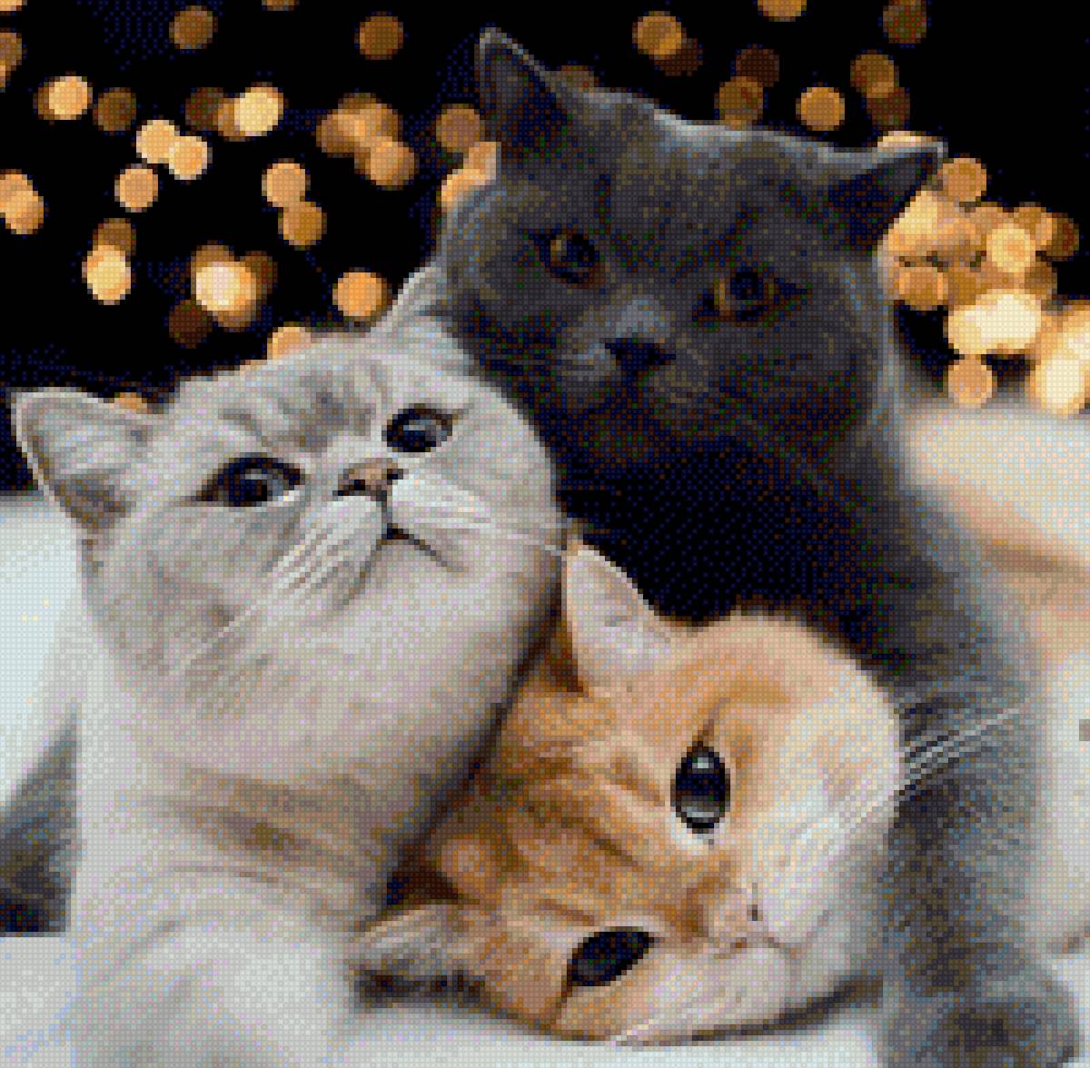 Котики - предпросмотр