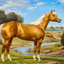 Схема вышивки «Cavalo.»