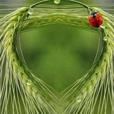 Схема вышивки «коллаж на тему лета»