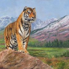 Схема вышивки «Tigre.»