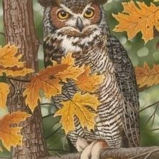 Схема вышивки «птицы»