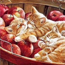 Схема вышивки «Котята в яблоках»