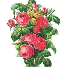 Схема вышивки «№2251638»