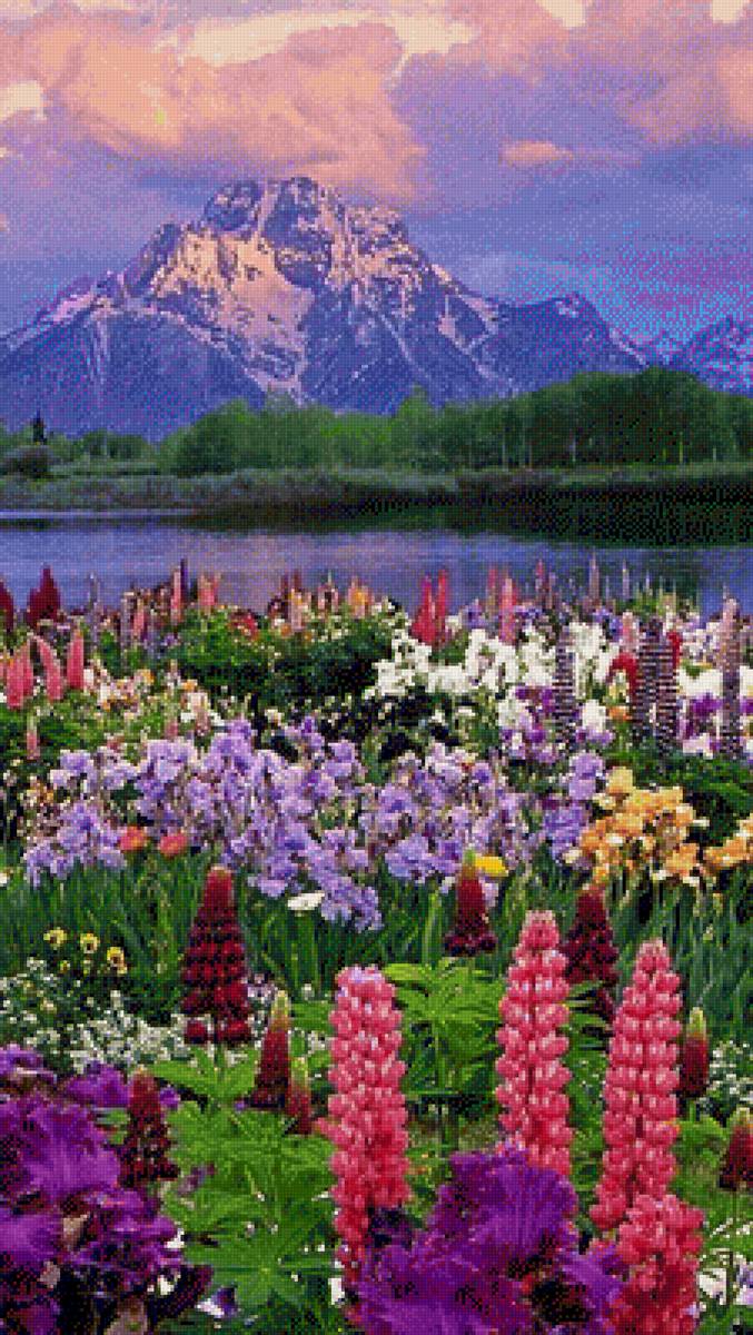 цветы у гор - предпросмотр